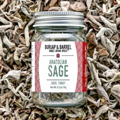 Anatolian Sage | Black Sea, Turkey