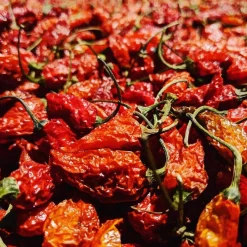 Cobanero Chili | Cobán, Guatemala