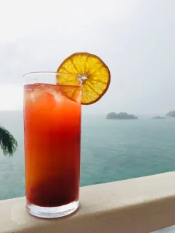 Dried Orange Wheels - organic