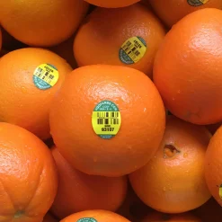 Dried Orange Wheels - organic