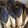 French Organic Lavender Bundle
