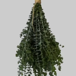 Fresh Eucalyptus Shower Bundle