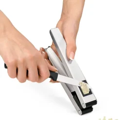 Garlic Cutter and Press