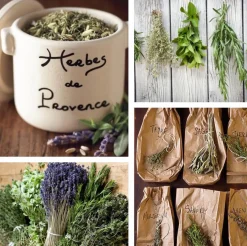 Herbs de Provence in a handmade crock | Anysetiers du Roy