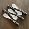 Mother of Pearl Seashell Spoon - Set of 2