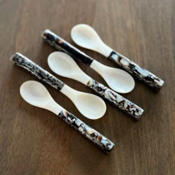 Mother of Pearl Seashell Spoon - Set of 2