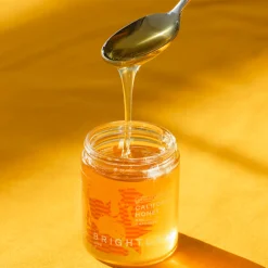 Orange Blossom Honey