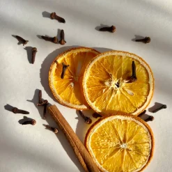 Pomander Simmer Pot Kit