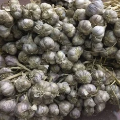 Purple Stripe Garlic - Single Origin Spice & Seasoning