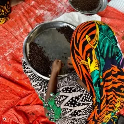 Tandoori Spice Blend | Zanzibar Islands, Tanzania